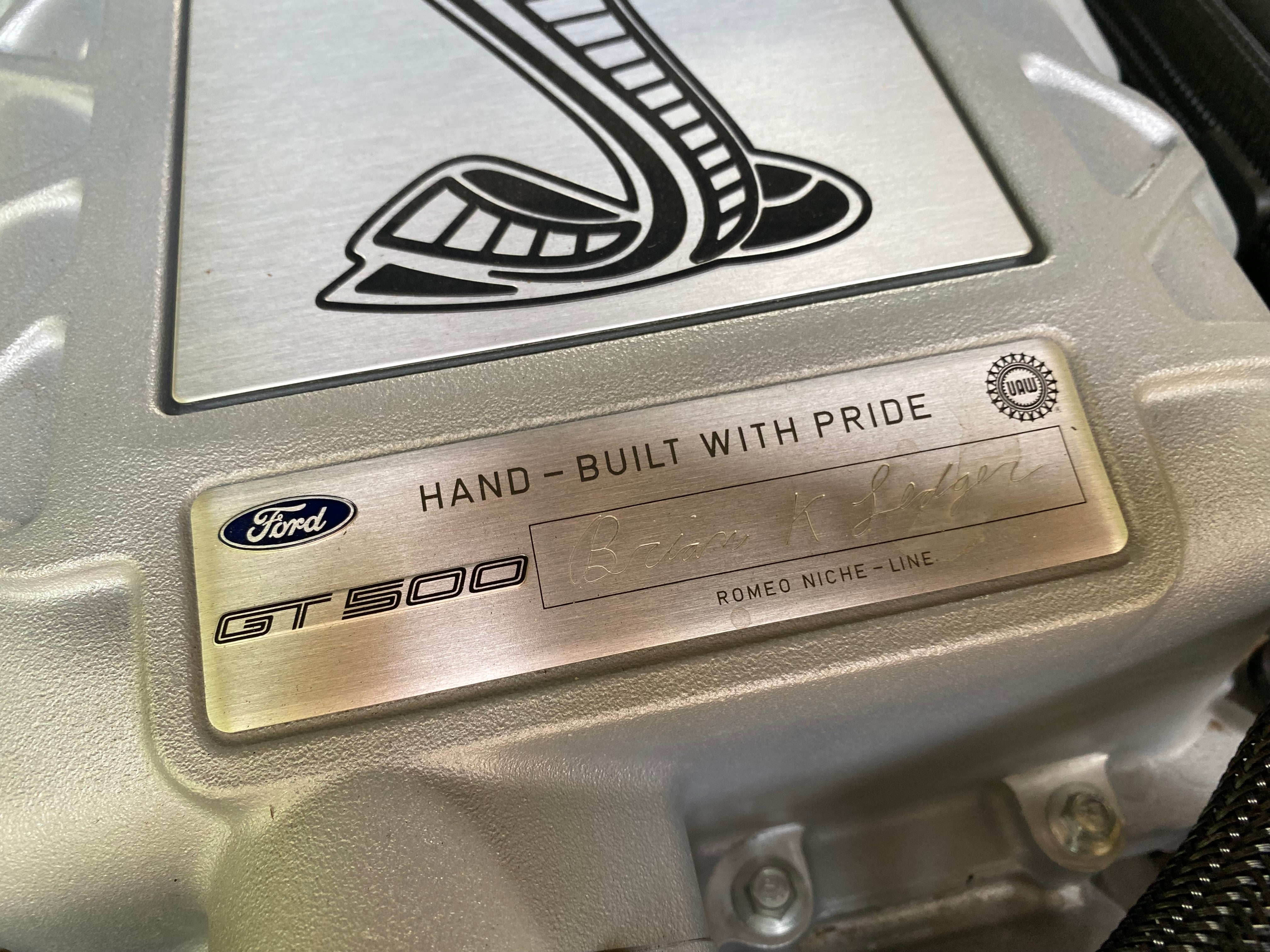 2020 Ford Mustang GT 500 (The Golden Ticket) #3168