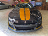 2020 Ford Mustang GT 500 (The Golden Ticket) #3168